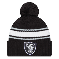 Official Las Vegas Raiders Beanies, Raiders Knit Hats, Winter Hats, Skull  Caps