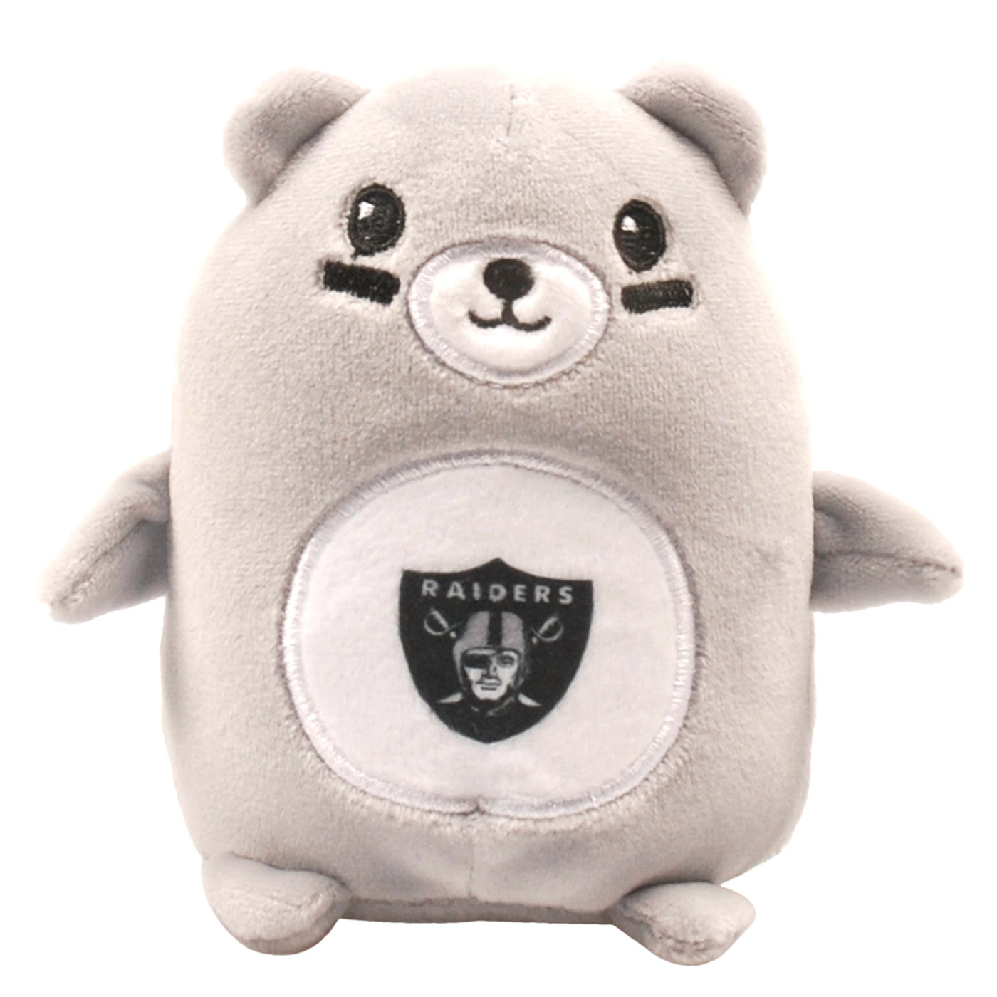 Raiders hotsell teddy bear